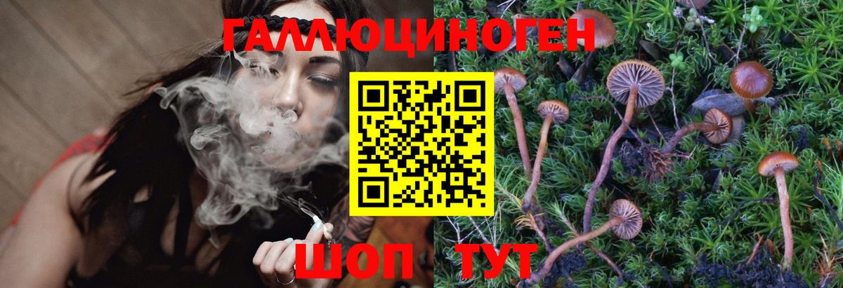 Псилоцибиновые грибы Cubensis  Вход с VPN  Псилоцибиновые грибы GOLDEN TEACHER  Димитровград 
