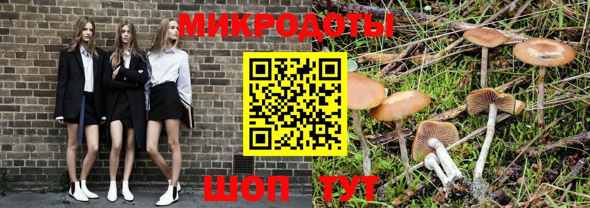 Галлюциногенные грибы Cubensis Димитровград